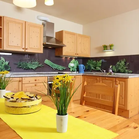 Apartmán Budinek *